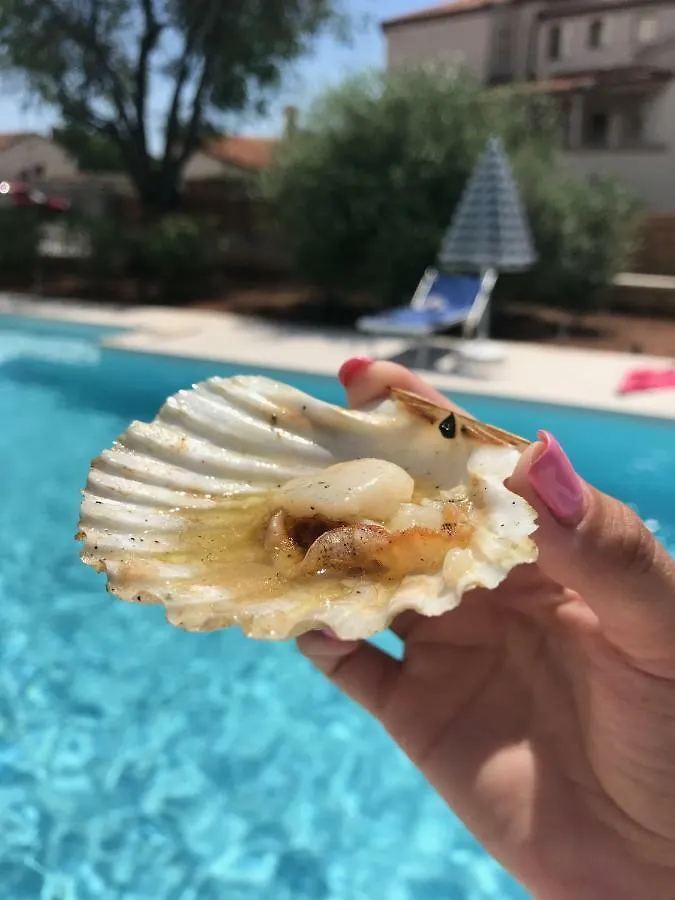 Apartments Borghetto 温克兰
